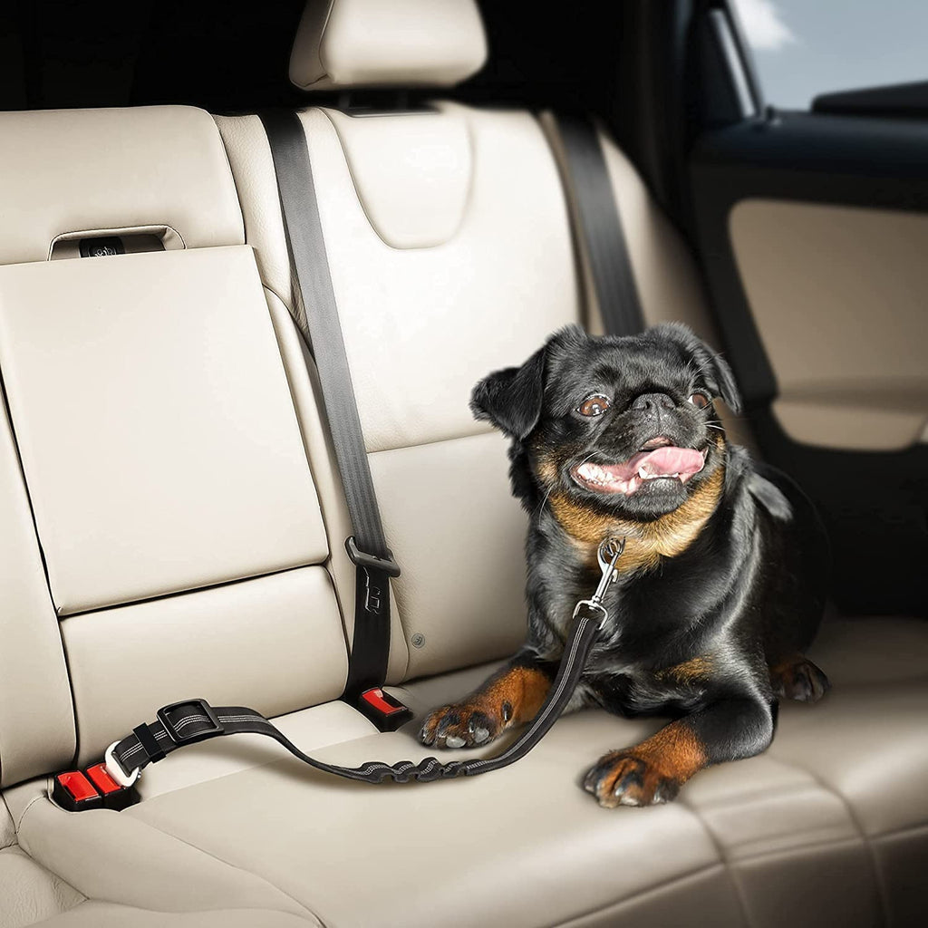 PawRoll™ Safety Dog Seat Belt (2022)
