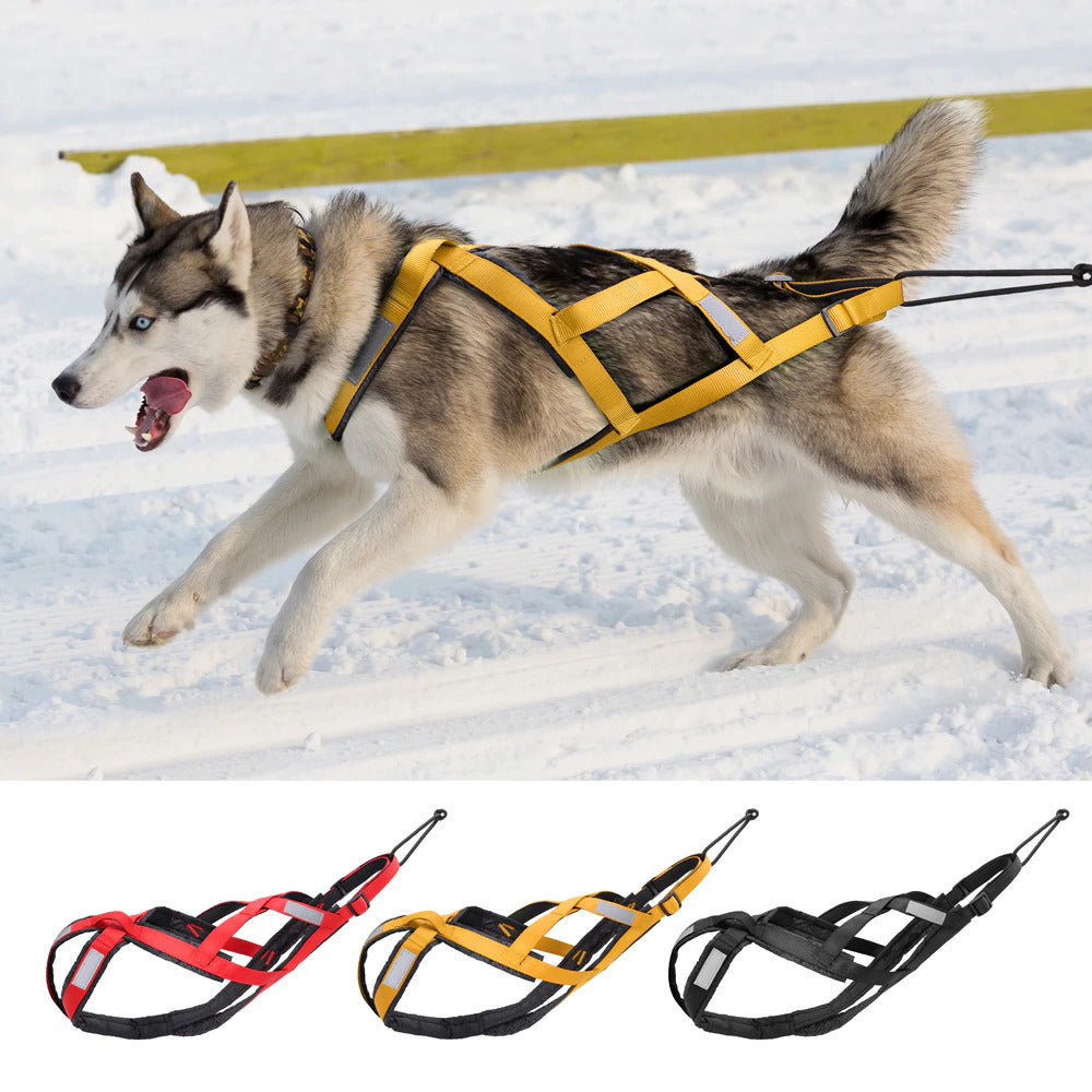 PawRoll Dog Sled Harness Pro