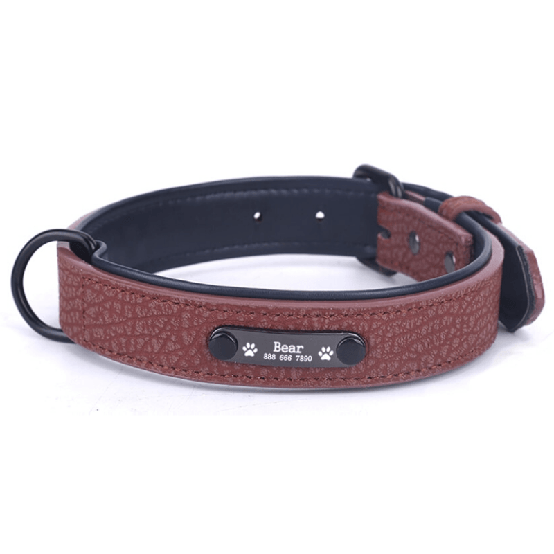 Leather Personalized All Purpose™ Dog Collar (2020)-Paw Roll,S / Brown