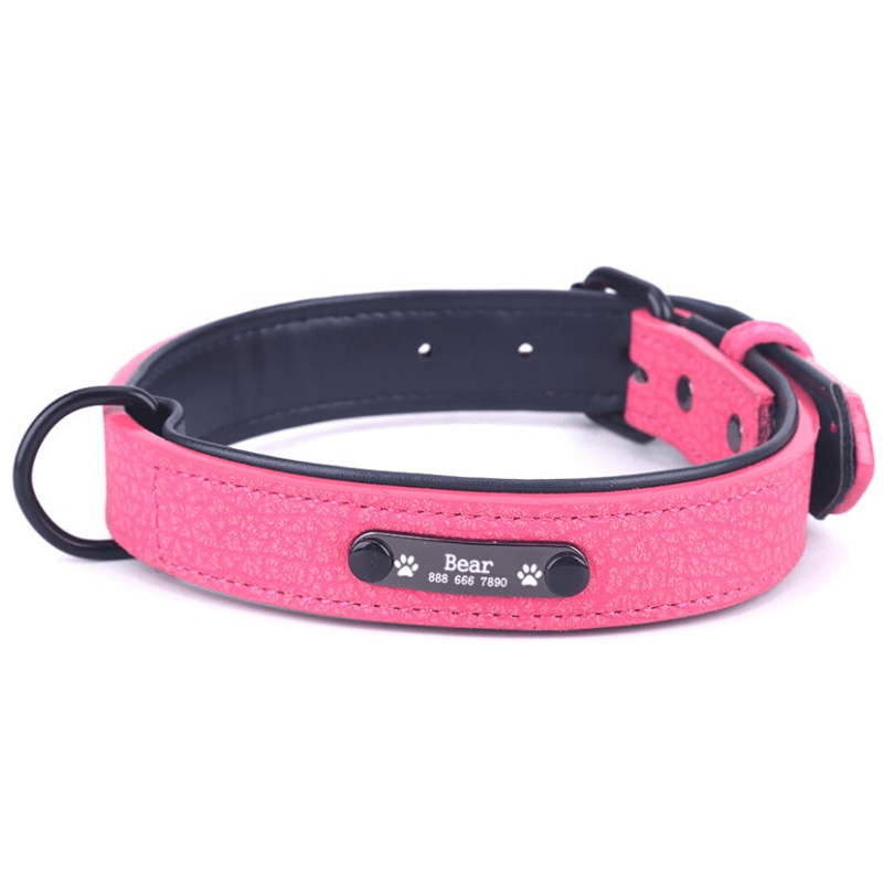 Leather Personalized All Purpose™ Dog Collar (2020)-Paw Roll,S / Pink