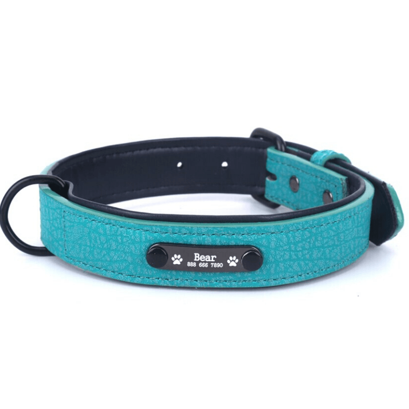 Leather Personalized All Purpose™ Dog Collar (2020)-Paw Roll,S / Pearl Green
