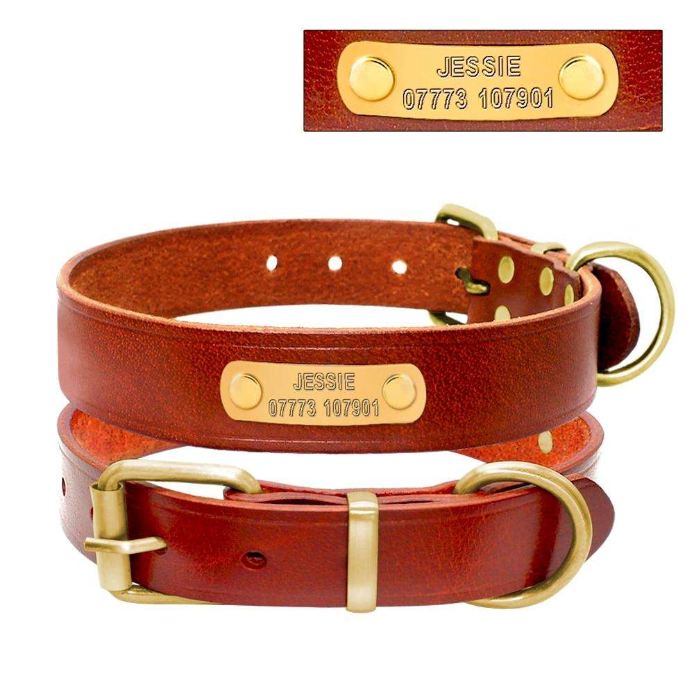 Leather Personalized PawRoll™ Dog Collar (2020)-Paw Roll