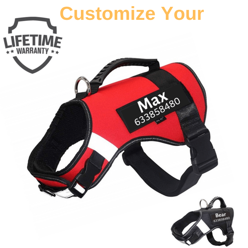 Personalized PawBrave™ No Pull Dog Harness