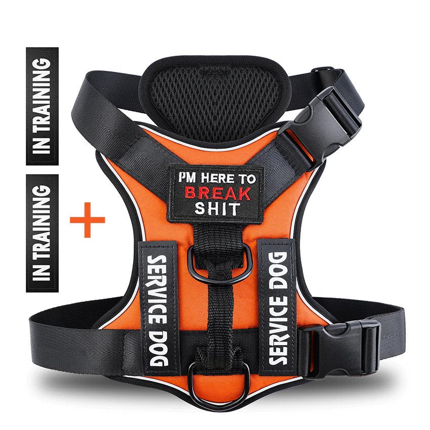 Personalized PawRoll No Pull Dog Harness (2023 Version)